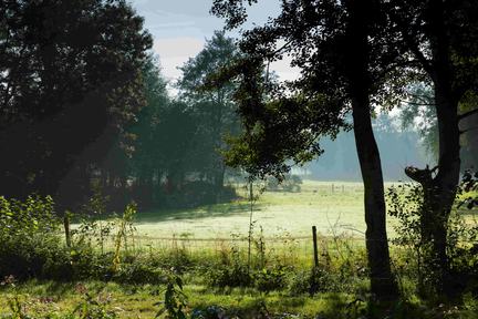 Karakter, Haren