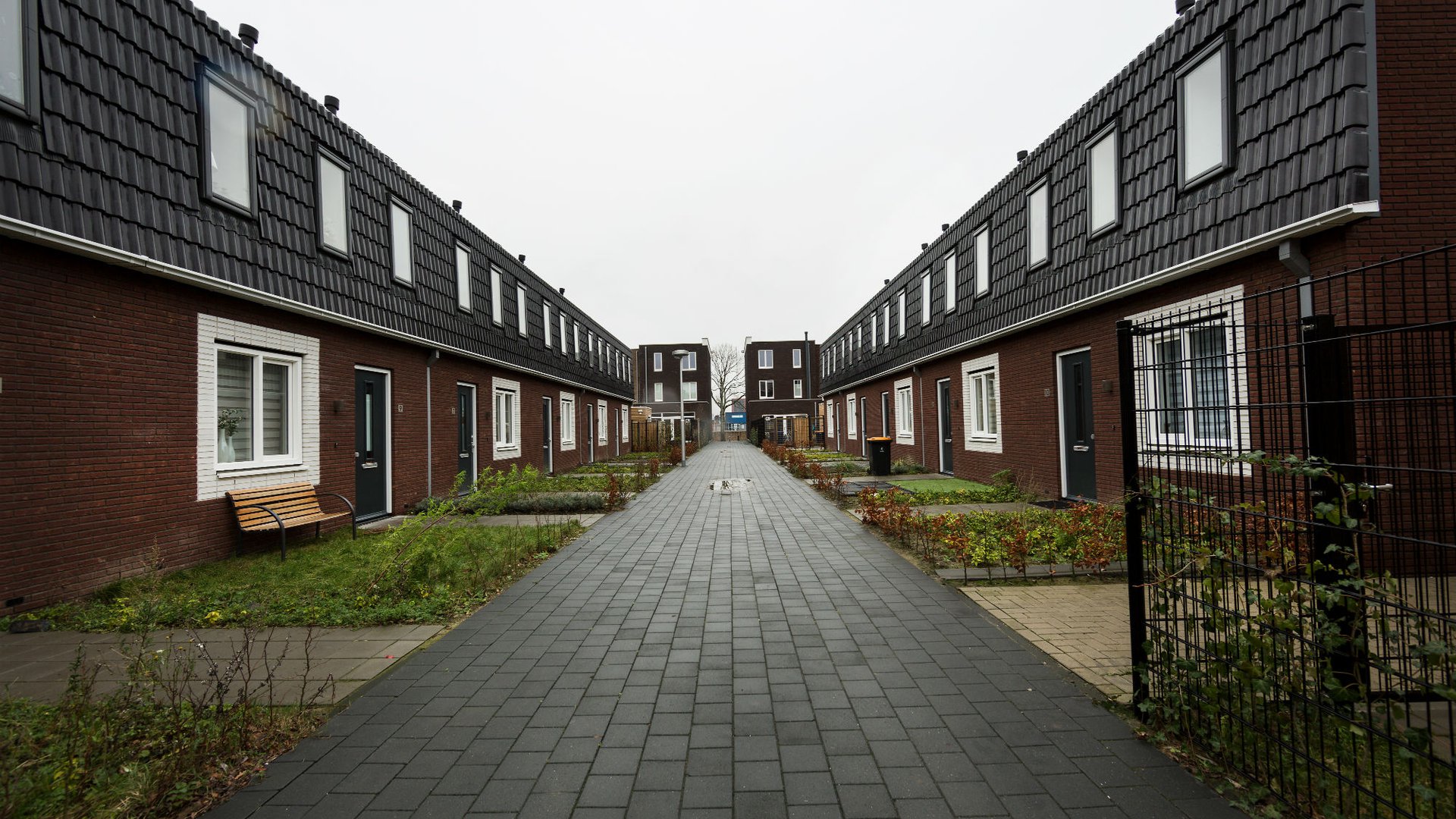 langs_de_lijn_grauwaart_leidsche_rijn_martine_krekelaar_straat_19.jpg