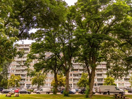 Heijmans &CO flat met bomen ervoor