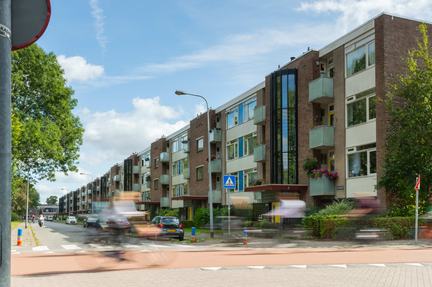 Wilgenlaan, Groningen