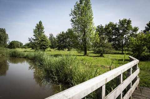 harry_boeschoten_staatsbosbeheer_--martinekrekelaar_a0a4831.jpg