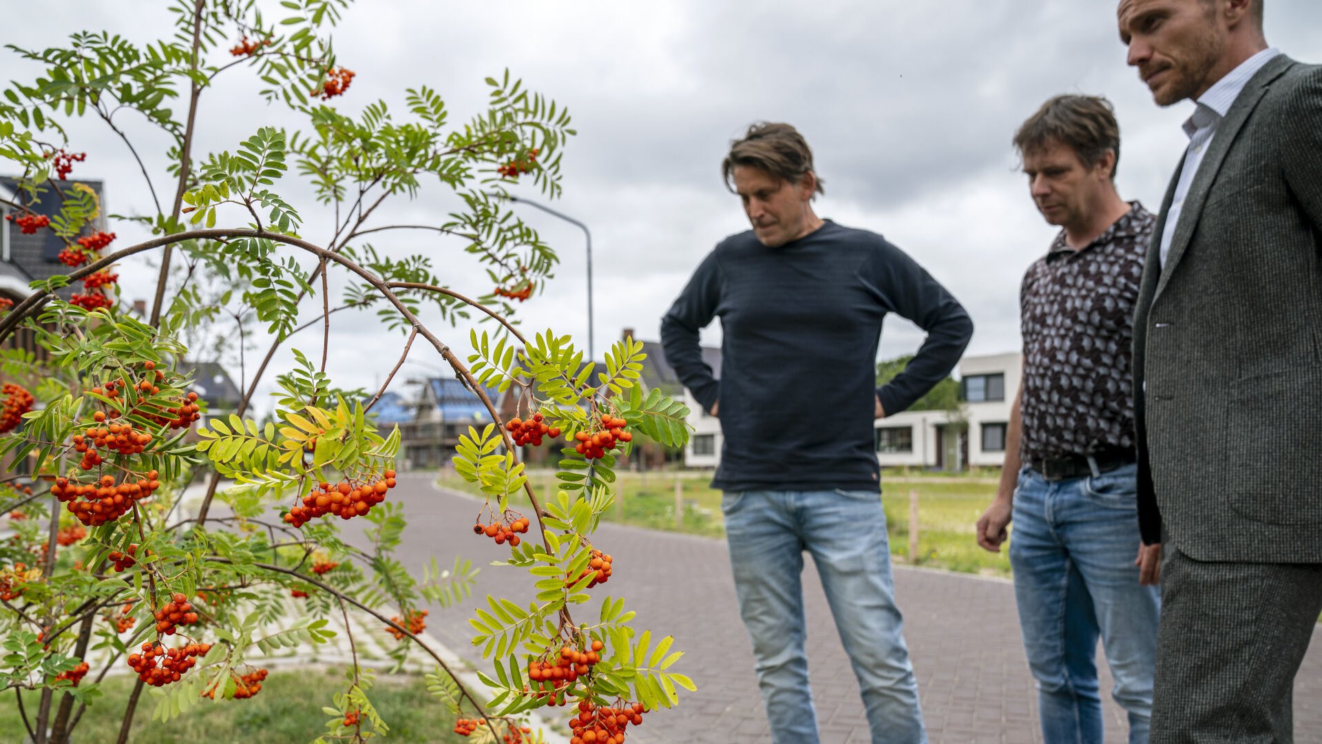 Heijmans NL Greenlabel Land van Dico uden 10