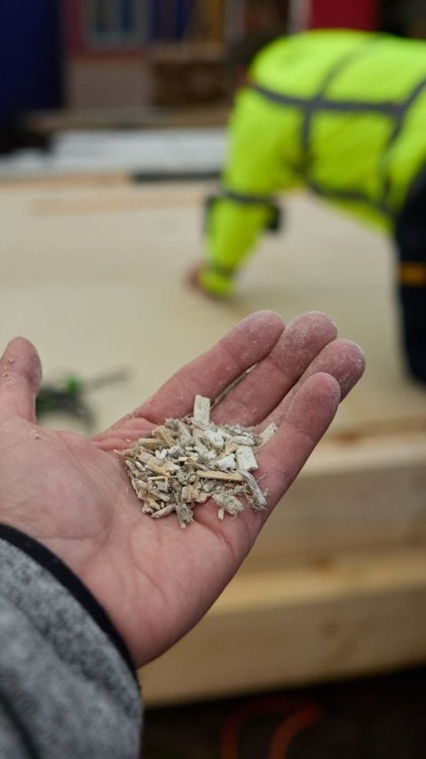 Een hand met vezelhennep.