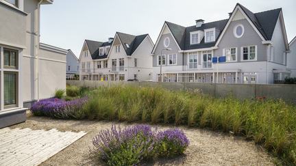 Duineveld, Noordwijk aan Zee