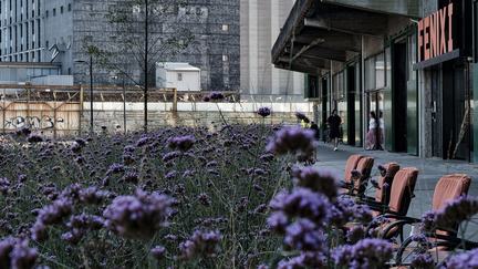 Fenix I, Rotterdam