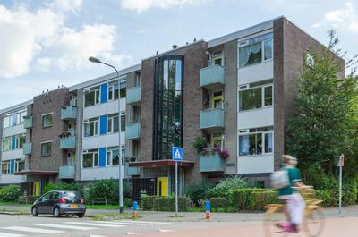 Wilgenlaan, Groningen