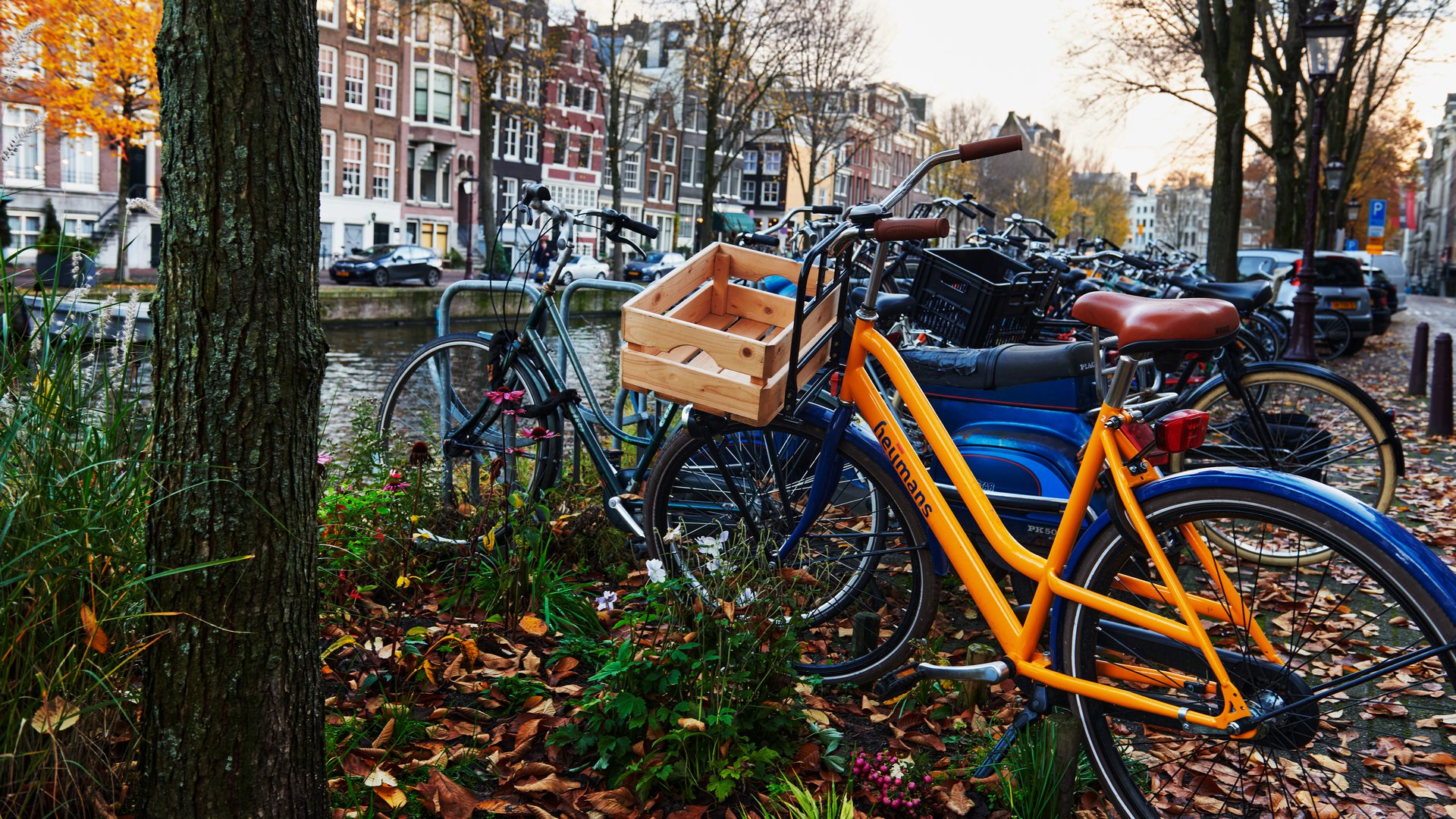 Oranje Loper Amsterdam_20.jpg