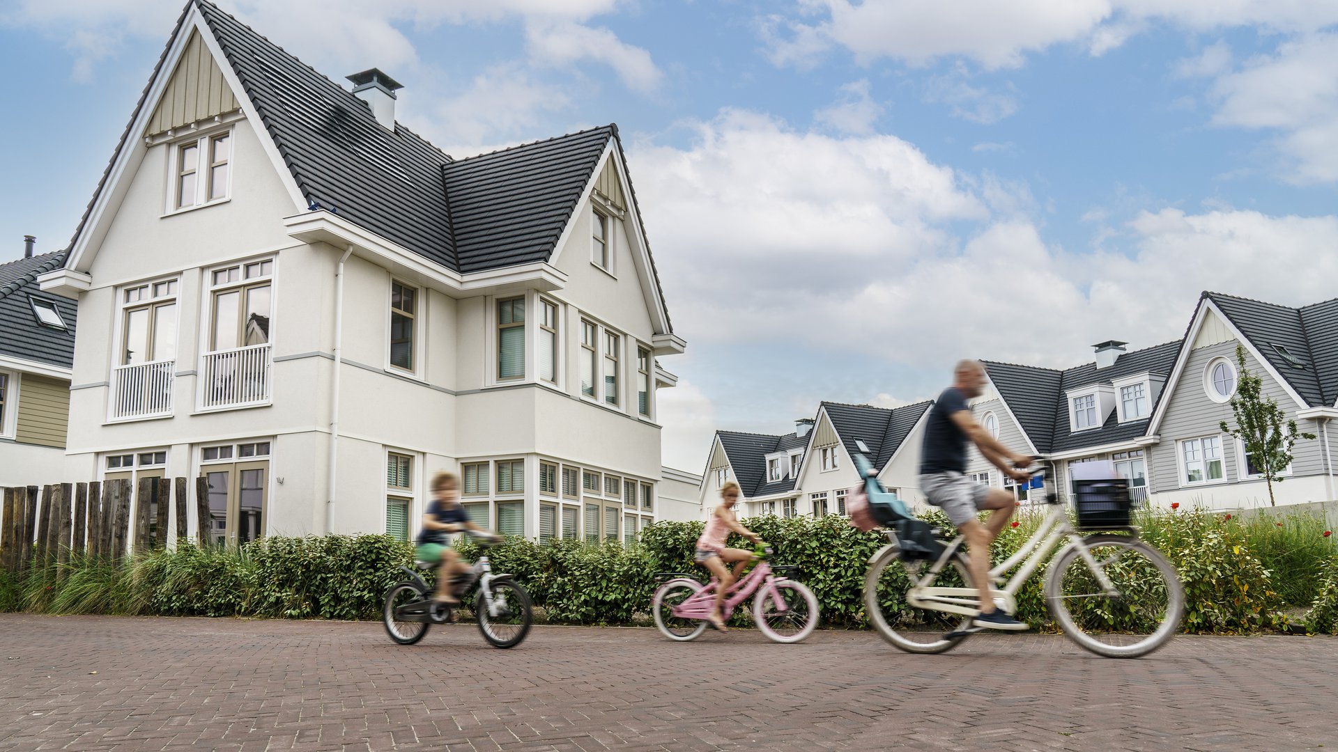 Duineveld Noordwijk aan zee _11.jpg