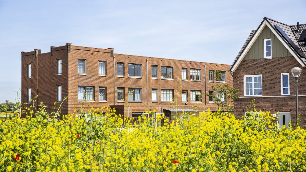 Voorhout, Hooghkamer Heijmans Huismerk woningen met groen gras.jpg