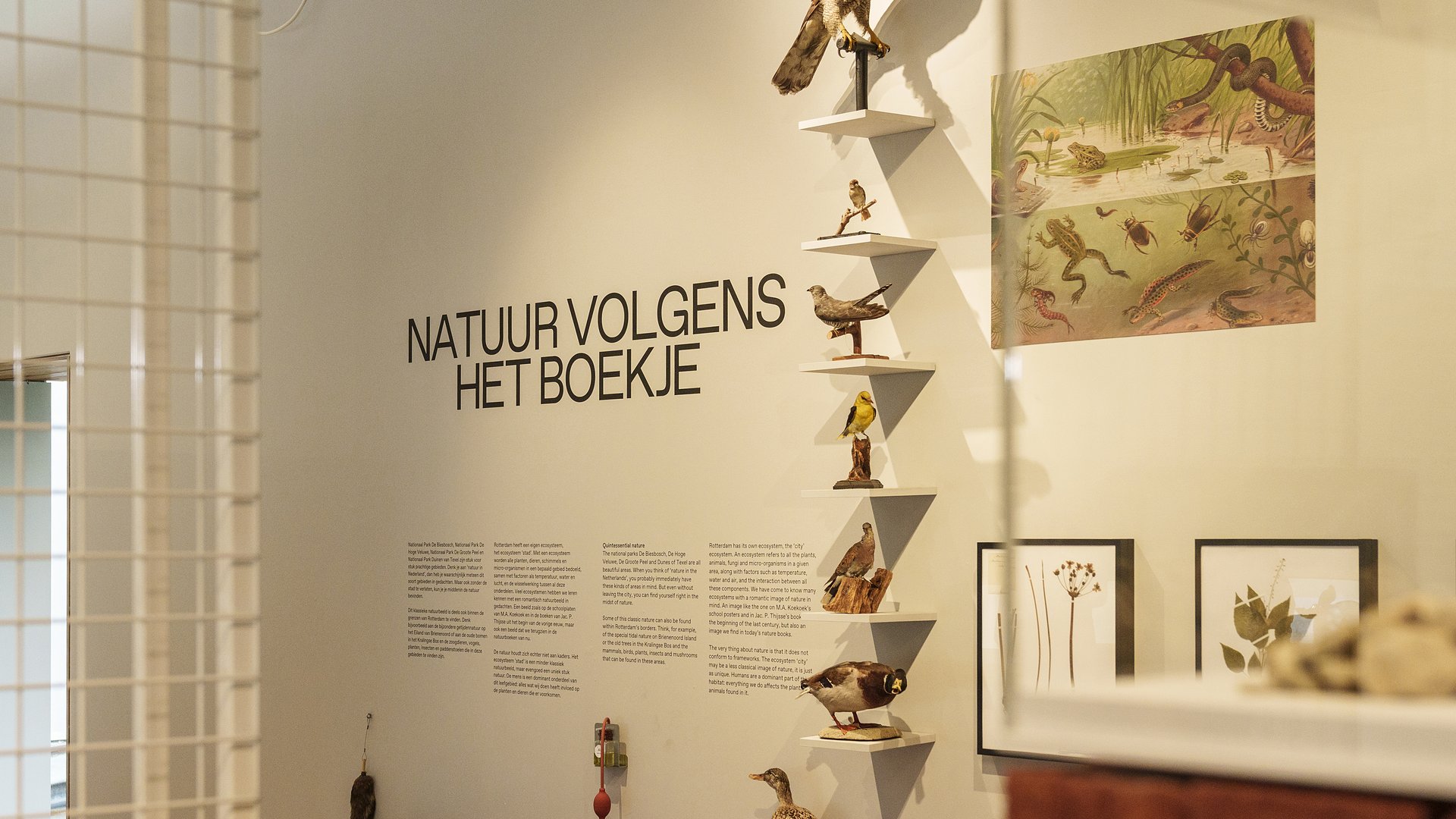 Heijmans Natuur stad Natuurhistorisch Museum Rotterdam 4