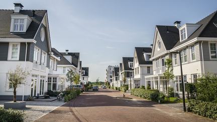 Duineveld, Noordwijk aan Zee