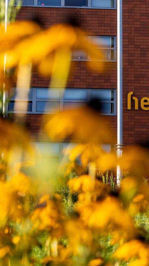 Kantoor van Heijmans in Rosmalen.