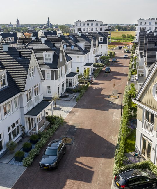 Duineveld Noordwijk aan zee _06.jpg