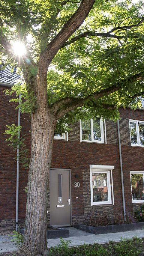 heijmans_stedelijk_gebied_eindhoven_huurwoningen.jpg