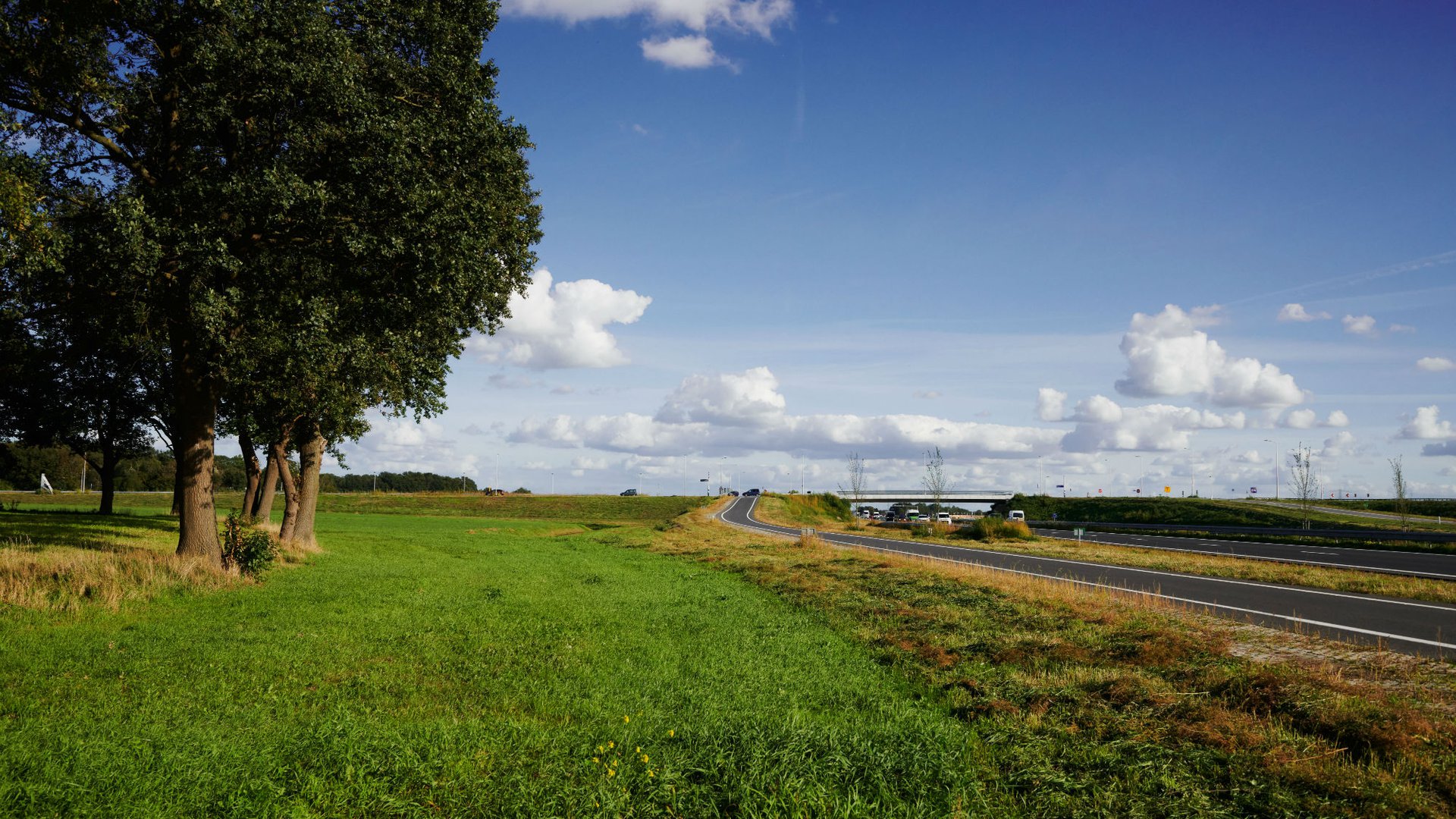 raoul_van_acker_vleermuisbrug_n35_10.jpg