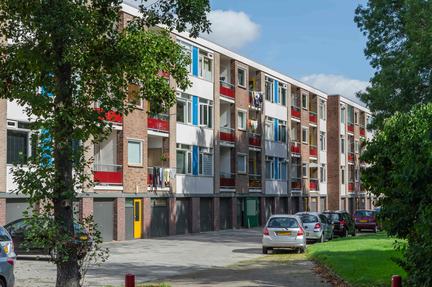 Wilgenlaan, Groningen