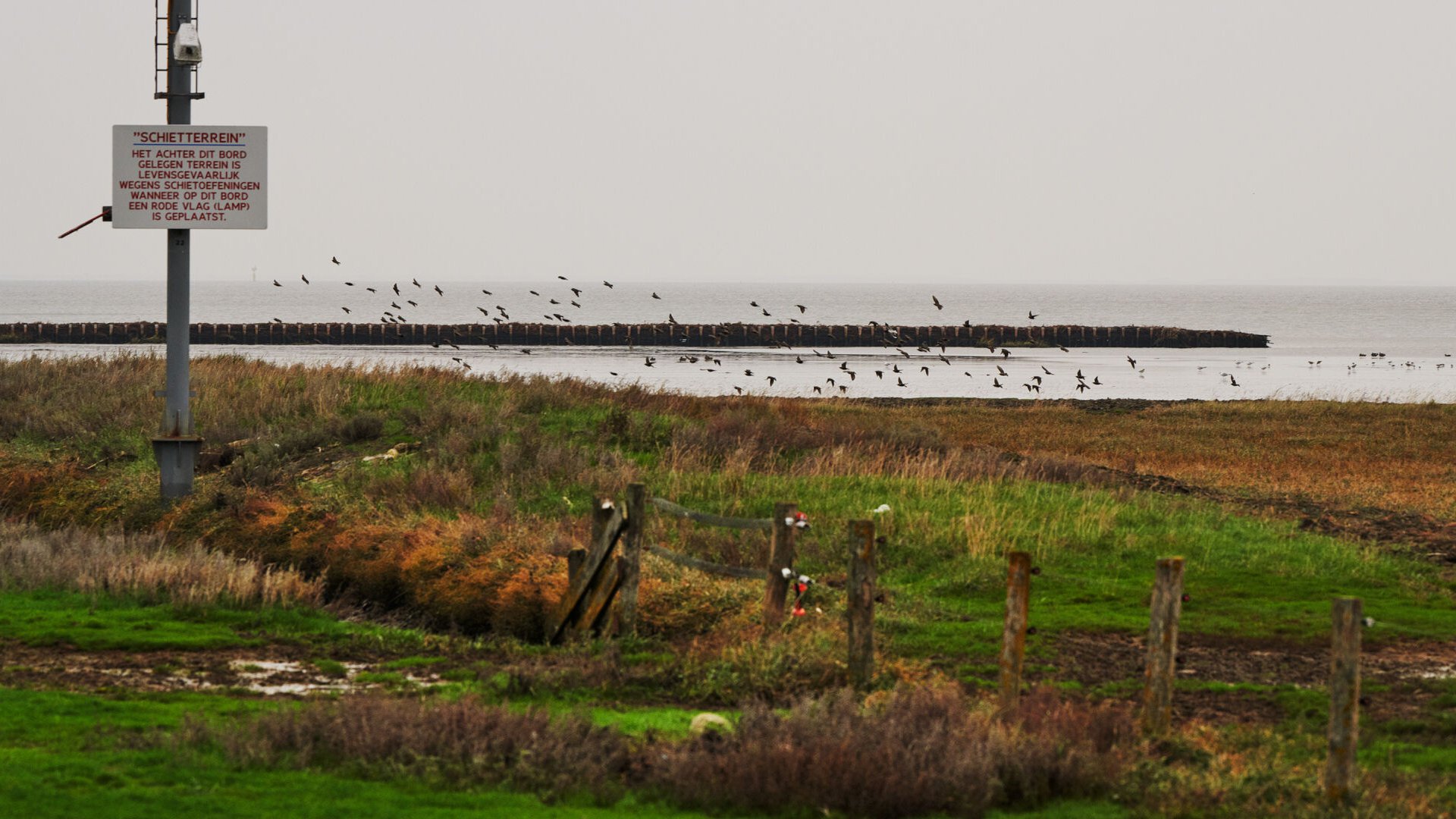 Lauwersmeerdijk Groningen vogels natuurgebied zee