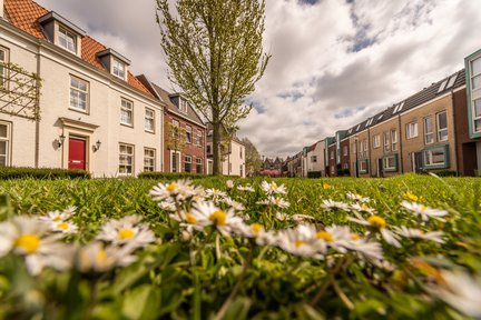 parijsch culemborg heijmans woningbouw natuurinclusief bouwen bloemen.jpg