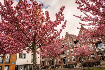 Parijsch Culemborg Heijmans natuurinclusief bouwen bomen.jpg