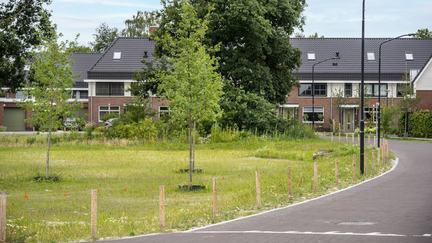 Land van Dico, Uden