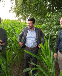 Bosch en Veld Goirle