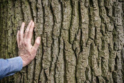 Houtbouw FSC hout Heijmans verduurzamen 1.jpg