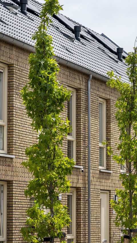 Huismerk_Naarden
