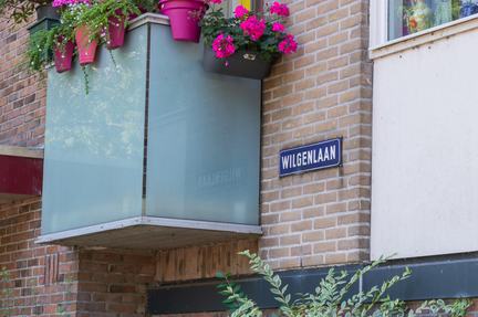 Wilgenlaan, Groningen