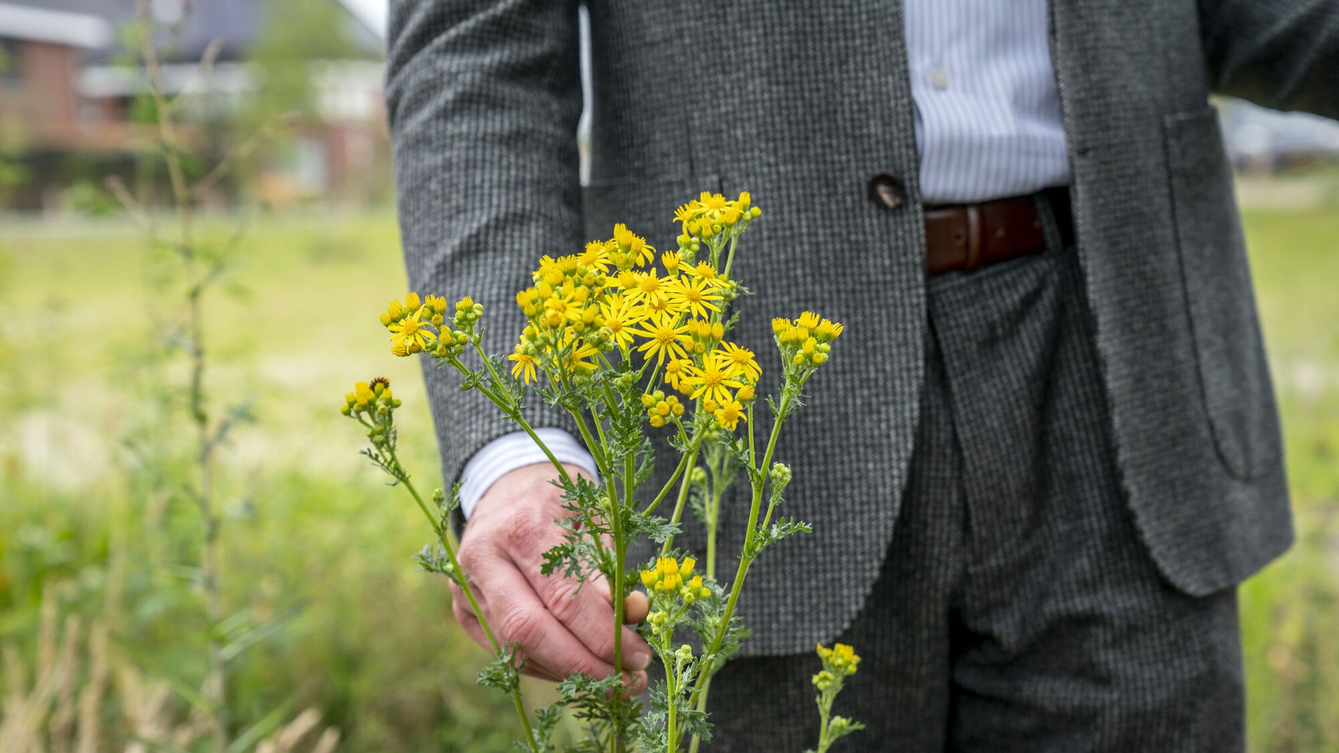 Heijmans NL Greenlabel Land van Dico uden 14