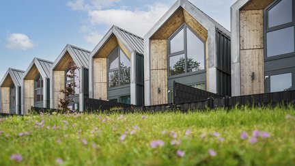 Heijmans ONE duurzame,circulaire tiny houses naast elkaar geplaatst.jpg