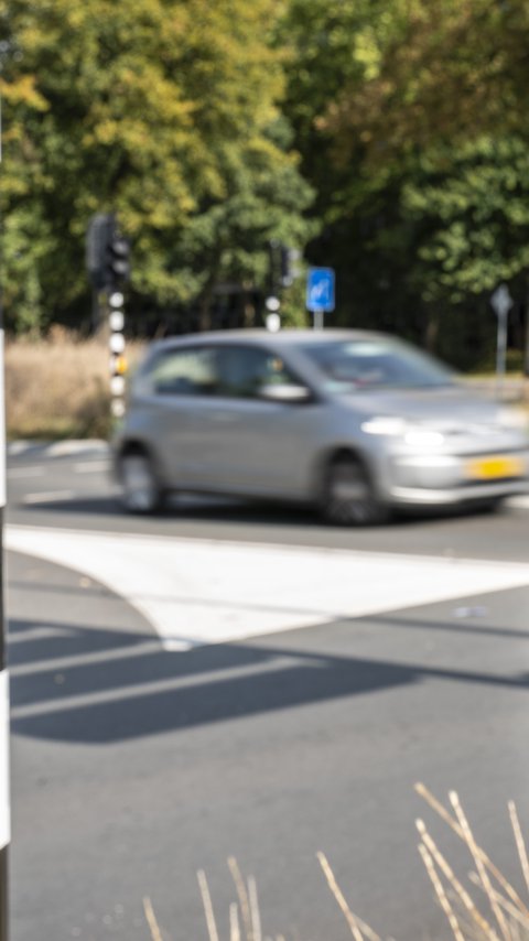 Verkeersregelinstallatie VRI