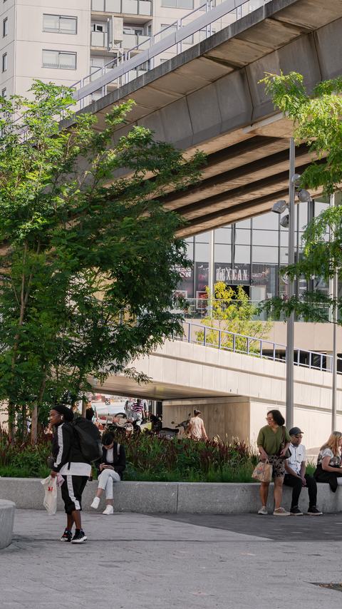 Hart van Zuid, Rotterdam