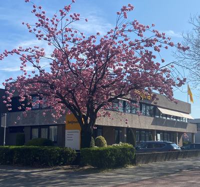 Huizen - kantoor