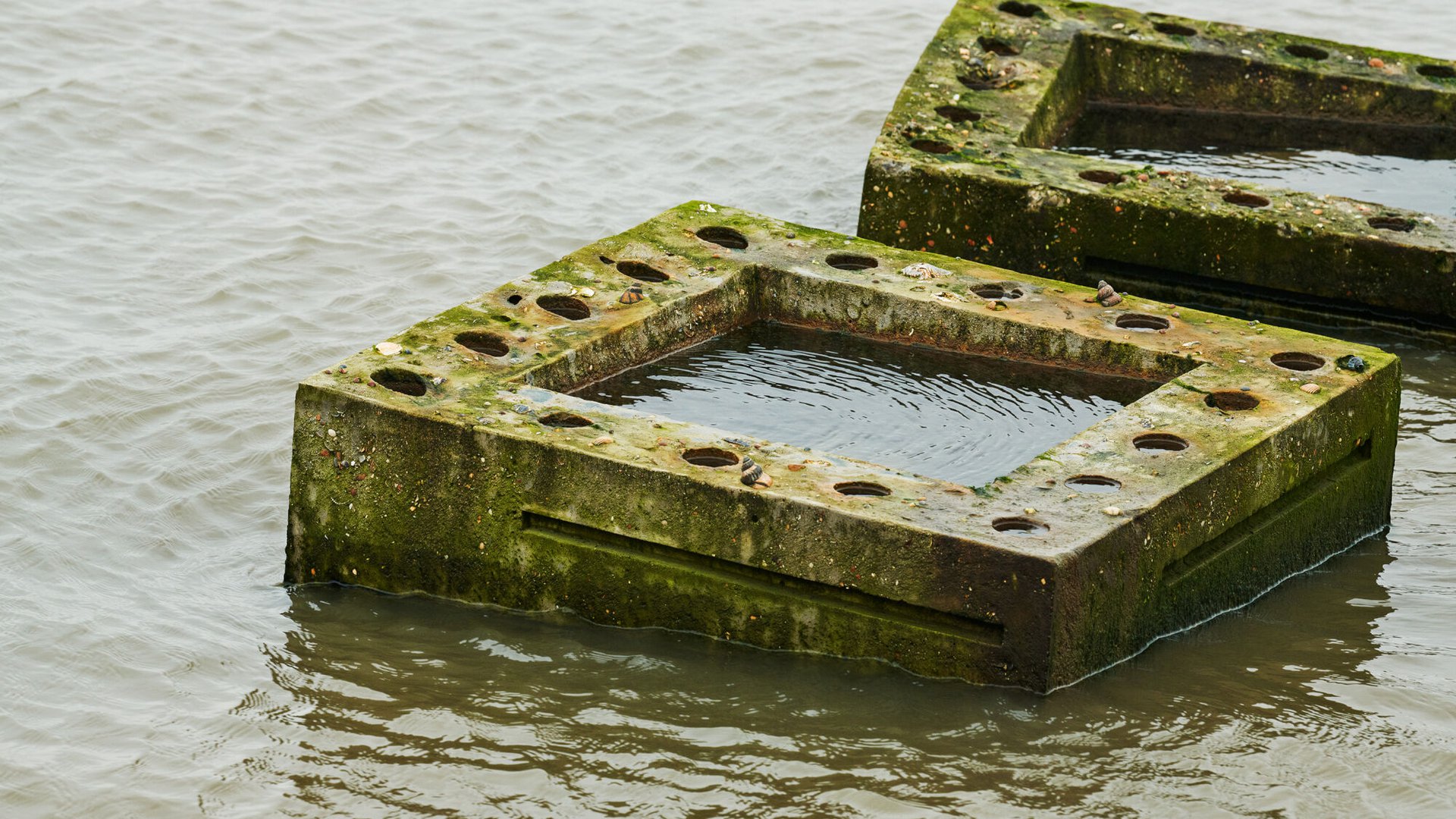 Dijkversterking Lauwersmeerdijk Groningen infra biodiversiteit_13