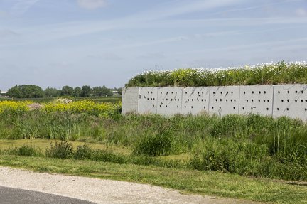 hoe_staat_het_met_westergouwe_natuur_lokwand_zwaluwen.jpg