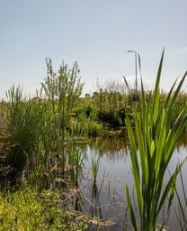 Heijmans Hessenpoort Zwolle groen bedrijventerrein natuur water