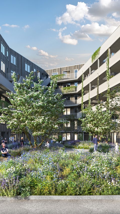 De Kuil, Rotterdam