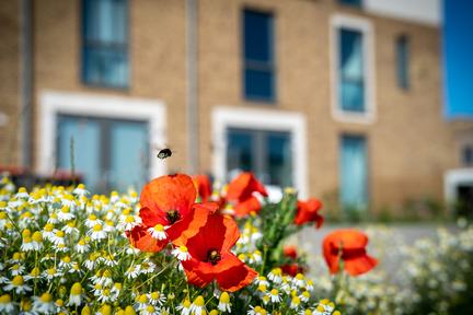 05-Zeewolde-_A9_6072