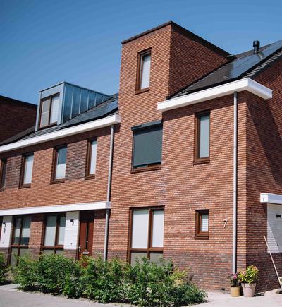 Weegbree, Drachten