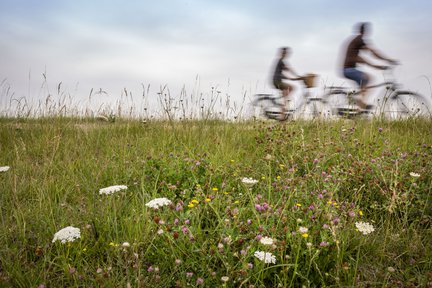 fietsers_nieuwvliet_bad_heijmans_zeeland_roompot_.jpg