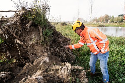 Heijmans_DistriparkDordrecht_ArieJanssen_natuurinclusiefbouwen 1.jpg