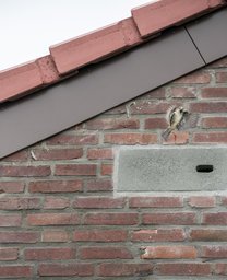 Nestkastje