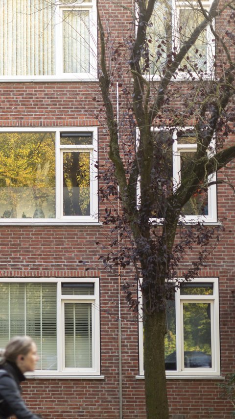 T2024175_Groningen_16