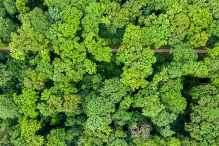 Houtbouw FSC hout Heijmans verduurzamen 8.jpg