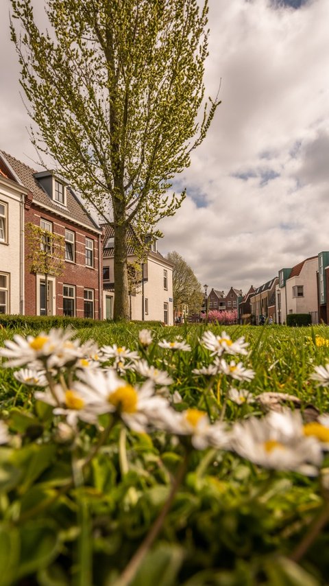 parijsch culemborg heijmans woningbouw natuurinclusief bouwen bloemen