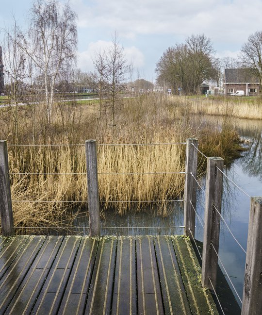 Vijf vragen aan Mario Jacobs Tilburg Heijmans maart 2021 (5)