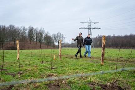 Bomen planten - hof van limburg (1)