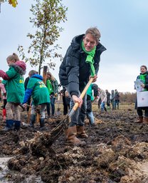 Hart voor bomen
