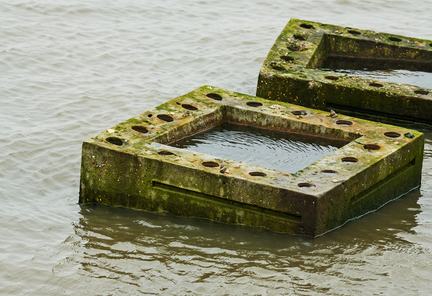 Dijkversterking Lauwersmeerdijk