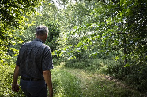 harry_boeschoten_staatsbosbeheer_--martinekrekelaar_a0a4844.jpg